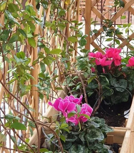 In Terrazza Da Giusy