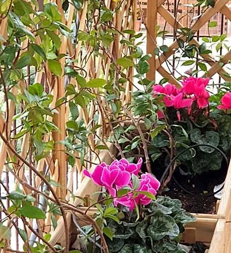 In Terrazza Da Giusy Bed and breakfast 4*
